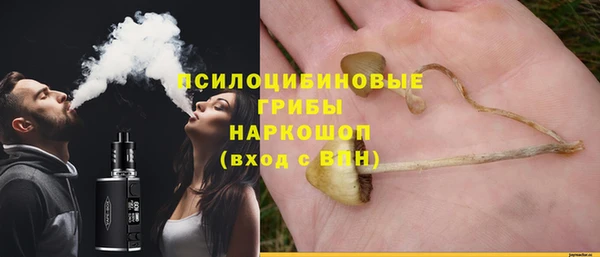 прущая мука Арсеньев