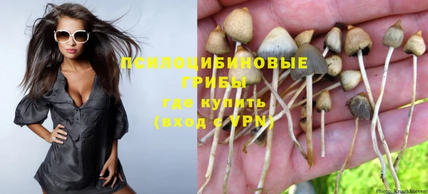мет Нязепетровск