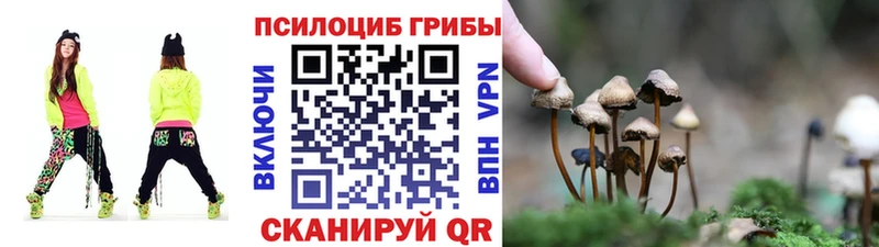 Псилоцибиновые грибы Psilocybe  Багратионовск 
